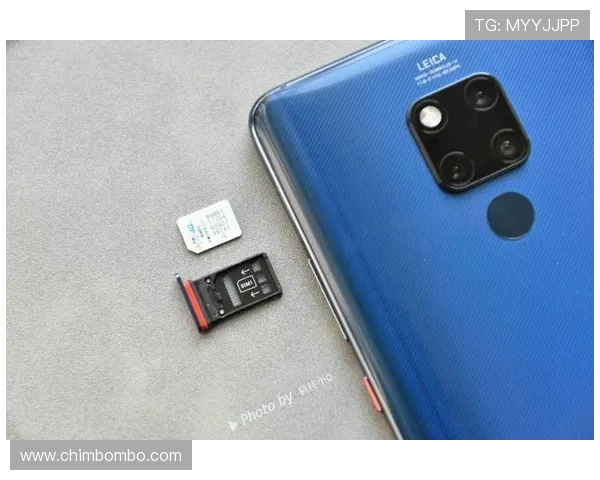 关于kb体育app的全面介绍与使用指南帮助用户快速上手体验